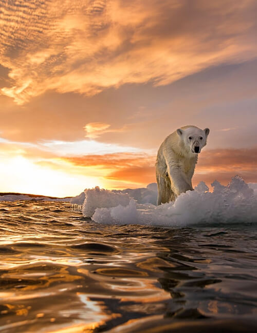 climate-changes